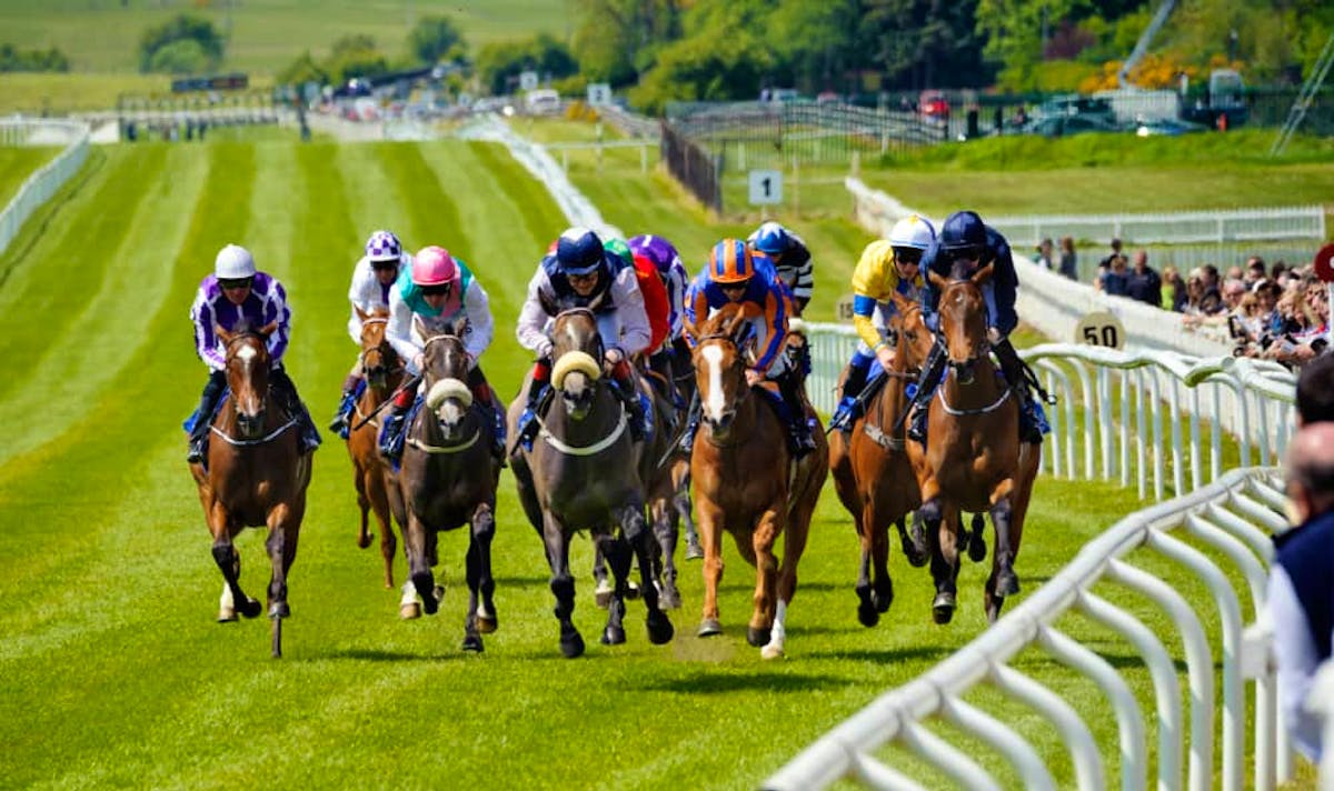 The best betting guide for the Grand National